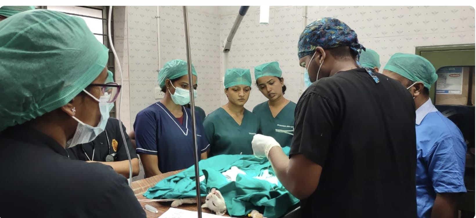 Surgical Skills Development Programme