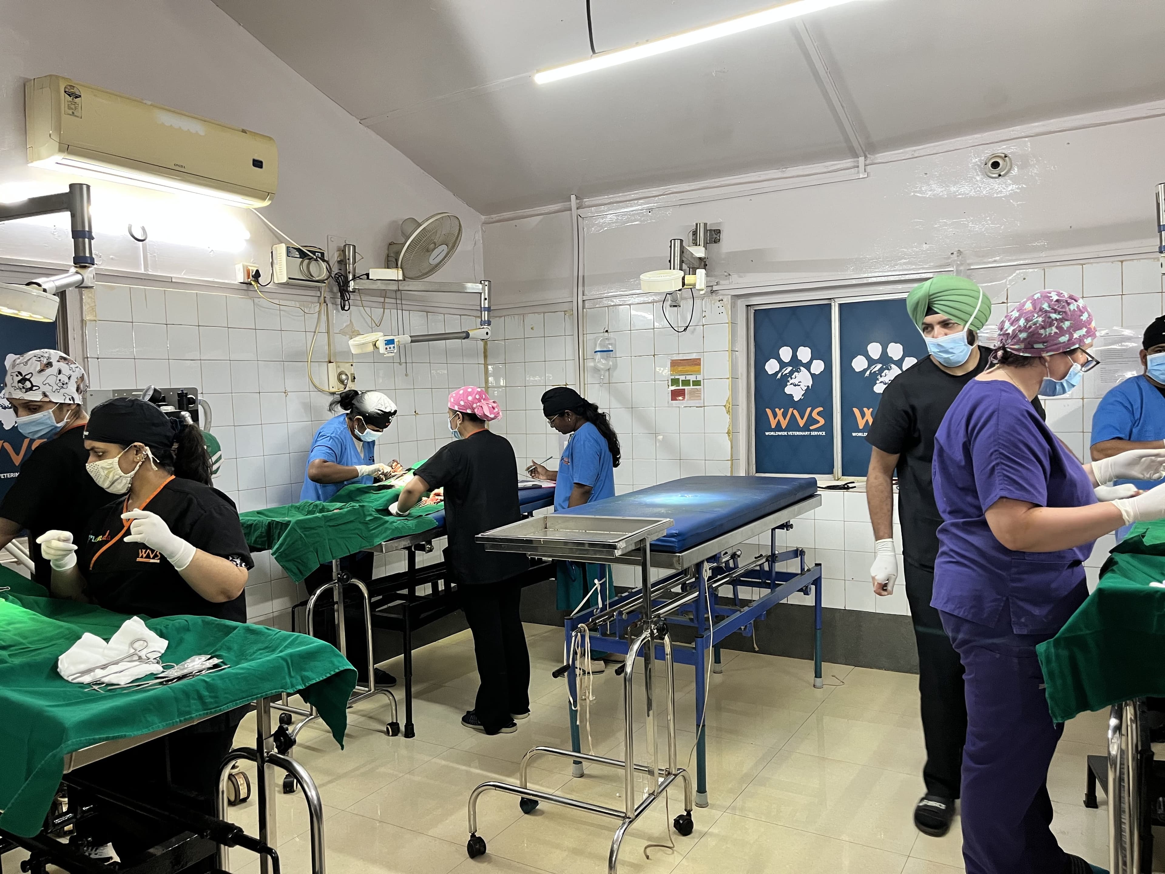 Goa vaccination drive