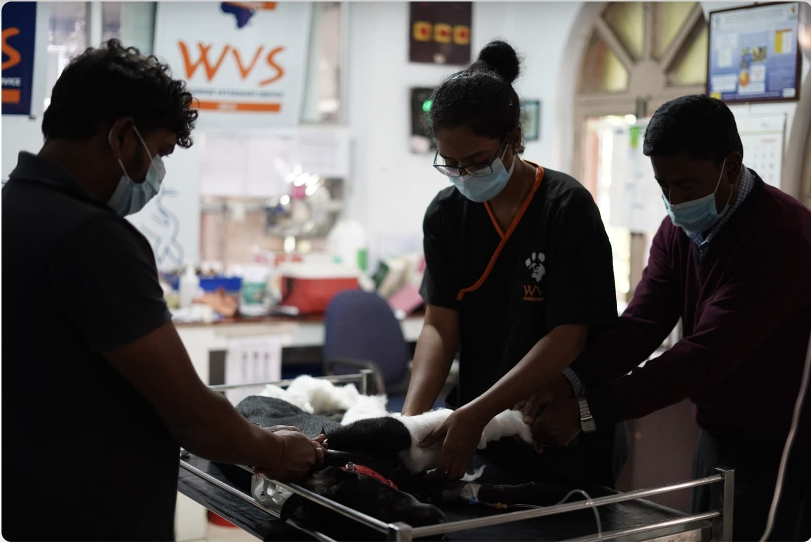 Volunteering Programme Hicks ITC & MR (Vaccination Drives)