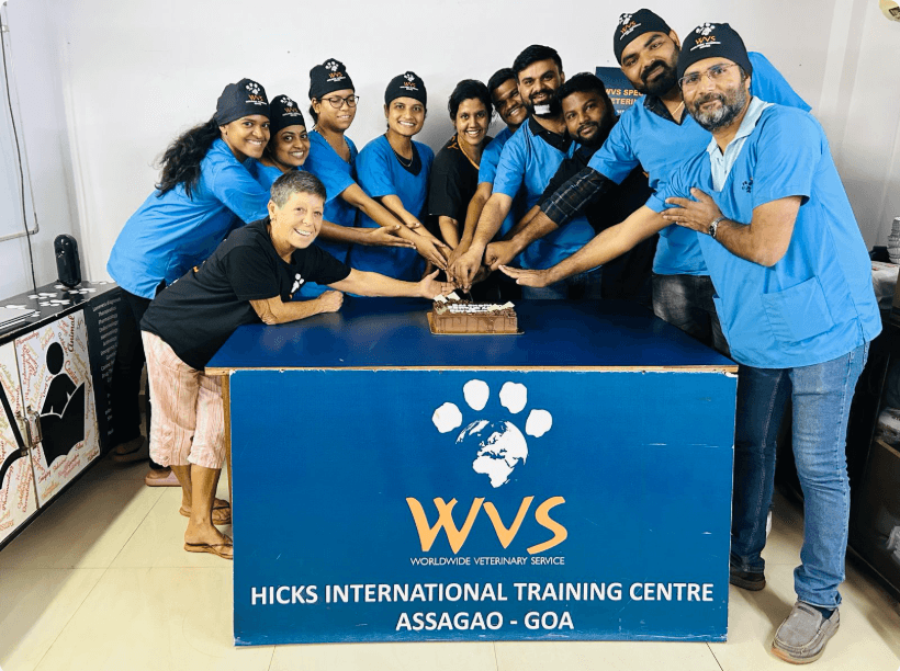 Surgical Skills Development Programme