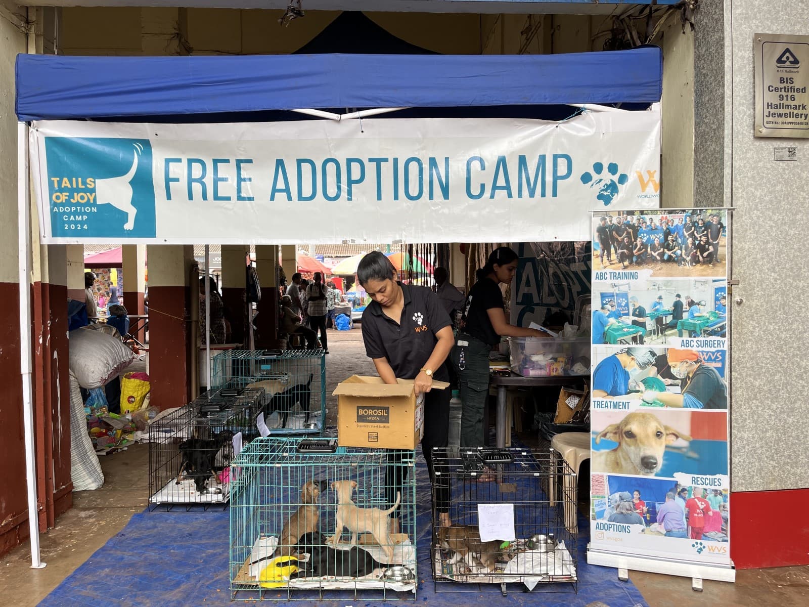 Adoption and rehoming services