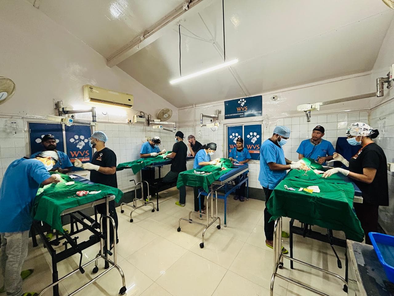 Veterinary training program